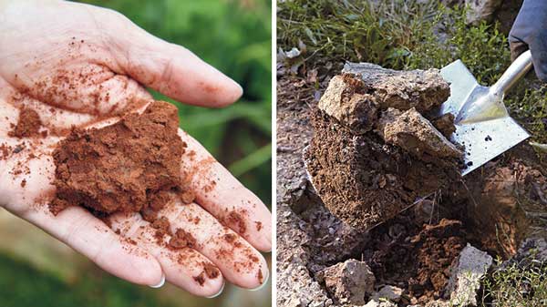 clay-soil-lontto